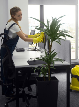 Servis Ofis Temizliği